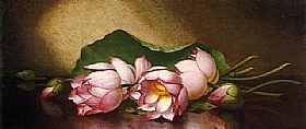 Martin Johnson Heade, Fleurs de lotus égyptiens - GRANDS PEINTRES / Heade