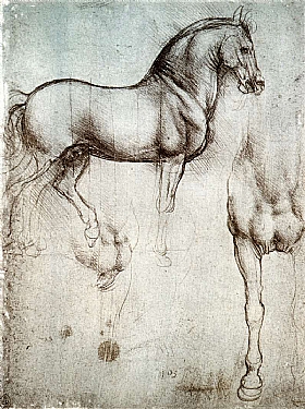 Lonard de Vinci, Etude d'un cheval - GRANDS PEINTRES / De Vinci
