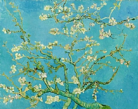 Vincent Van Gogh, Amandiers en fleurs - GRANDS PEINTRES / Van Gogh