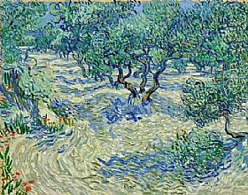 Vincent Van Gogh, Champ d'oliviers - GRANDS PEINTRES / Van Gogh