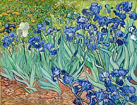 Vincent Van Gogh, Les Iris - GRANDS PEINTRES / Van Gogh
